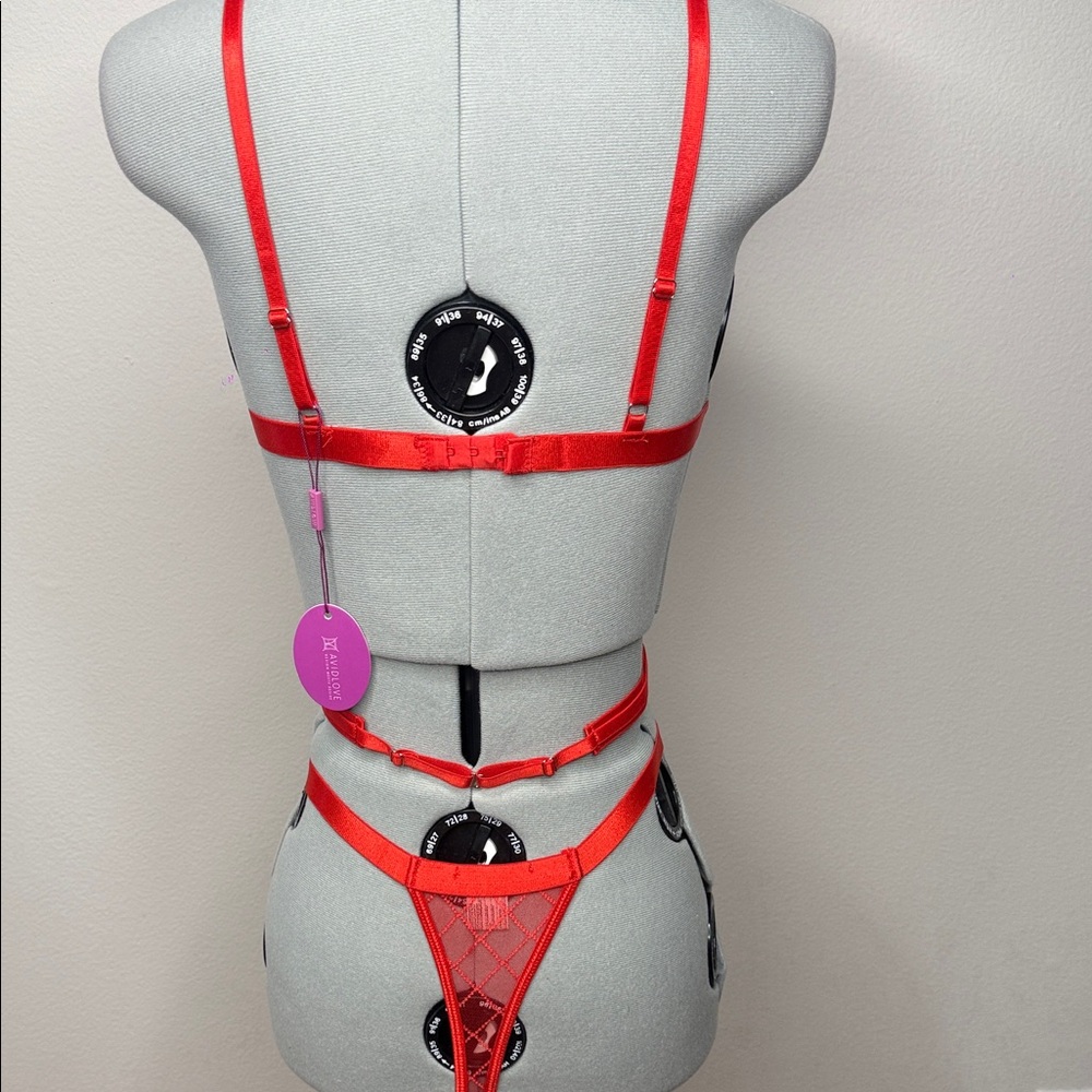 NWT Red Sheer Mesh Lingerie Set 3 PC Harness S - Picture 5 of 6